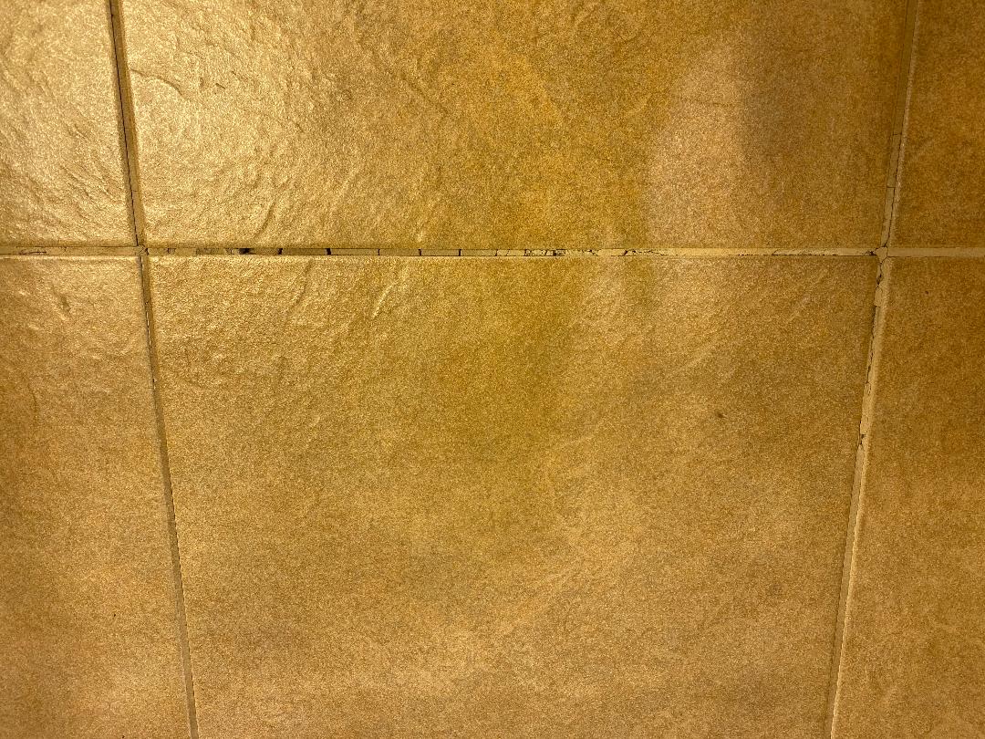 Floor Tile Grout Cracked