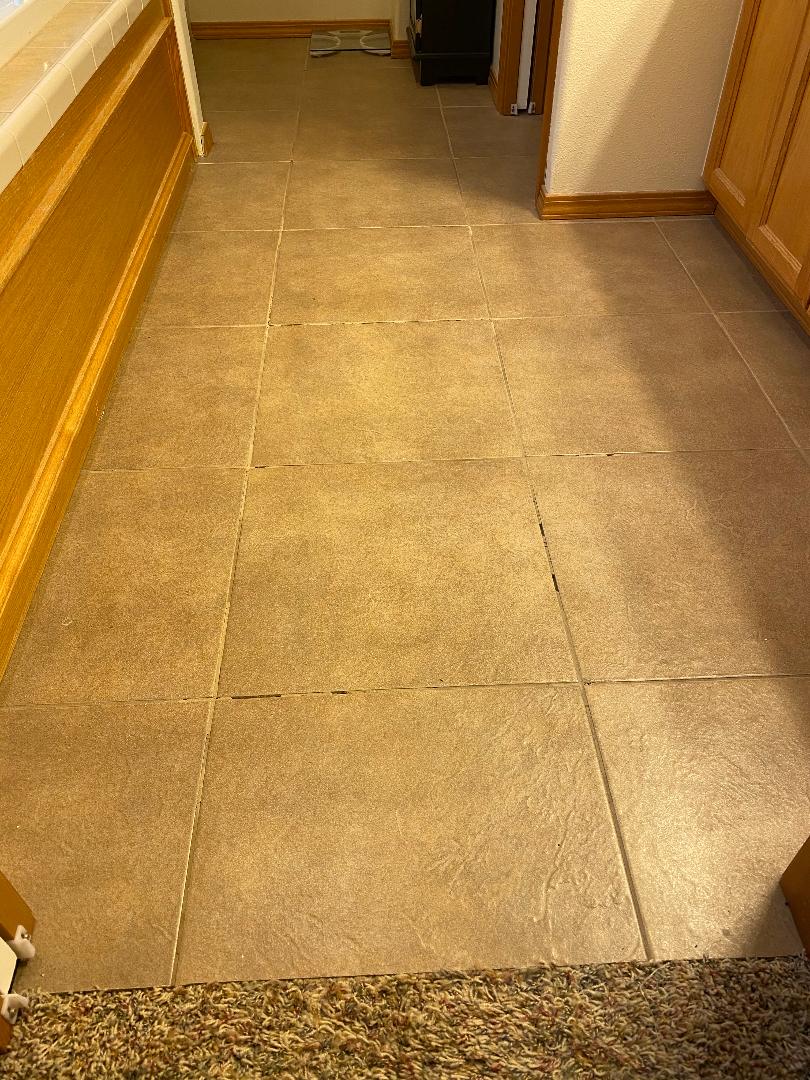 Floor Tile Grout Missing