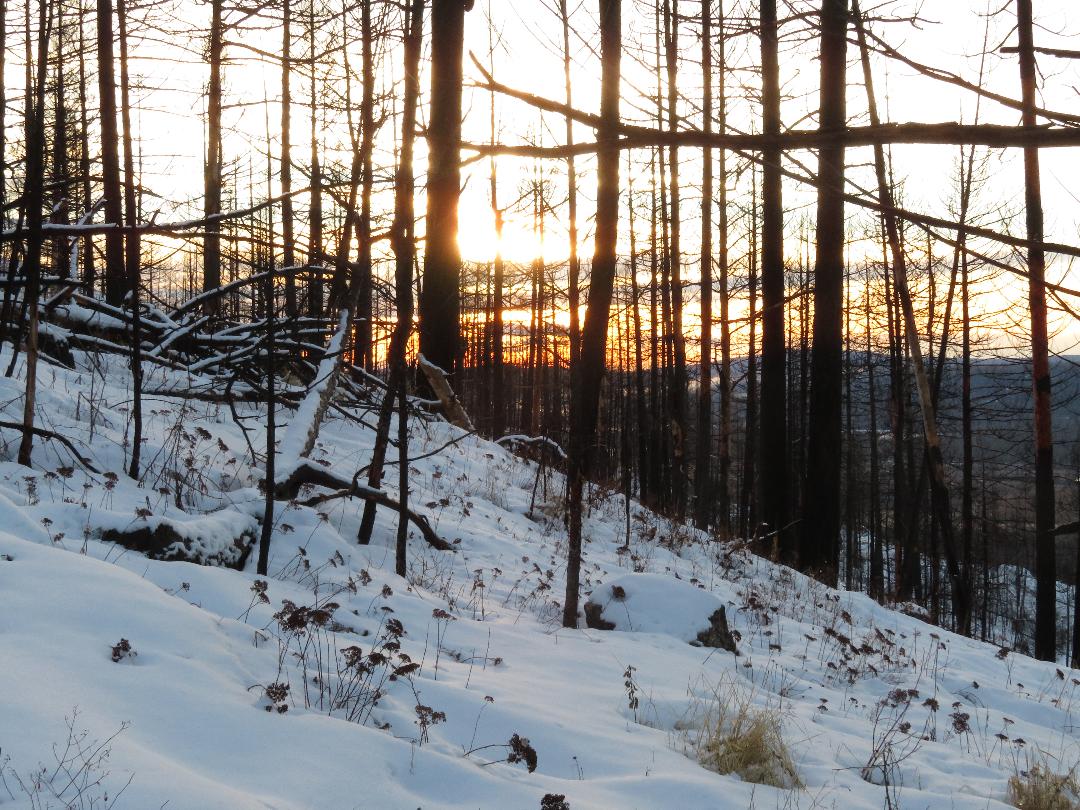 Spokane Winter Sunset